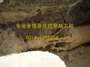 天津過道頂管施工在環(huán)保工程中的應用與優(yōu)勢