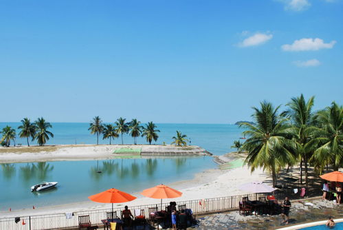 海外市場再添新篇 成功簽約馬中關丹產業園公輔單元節能環保工程